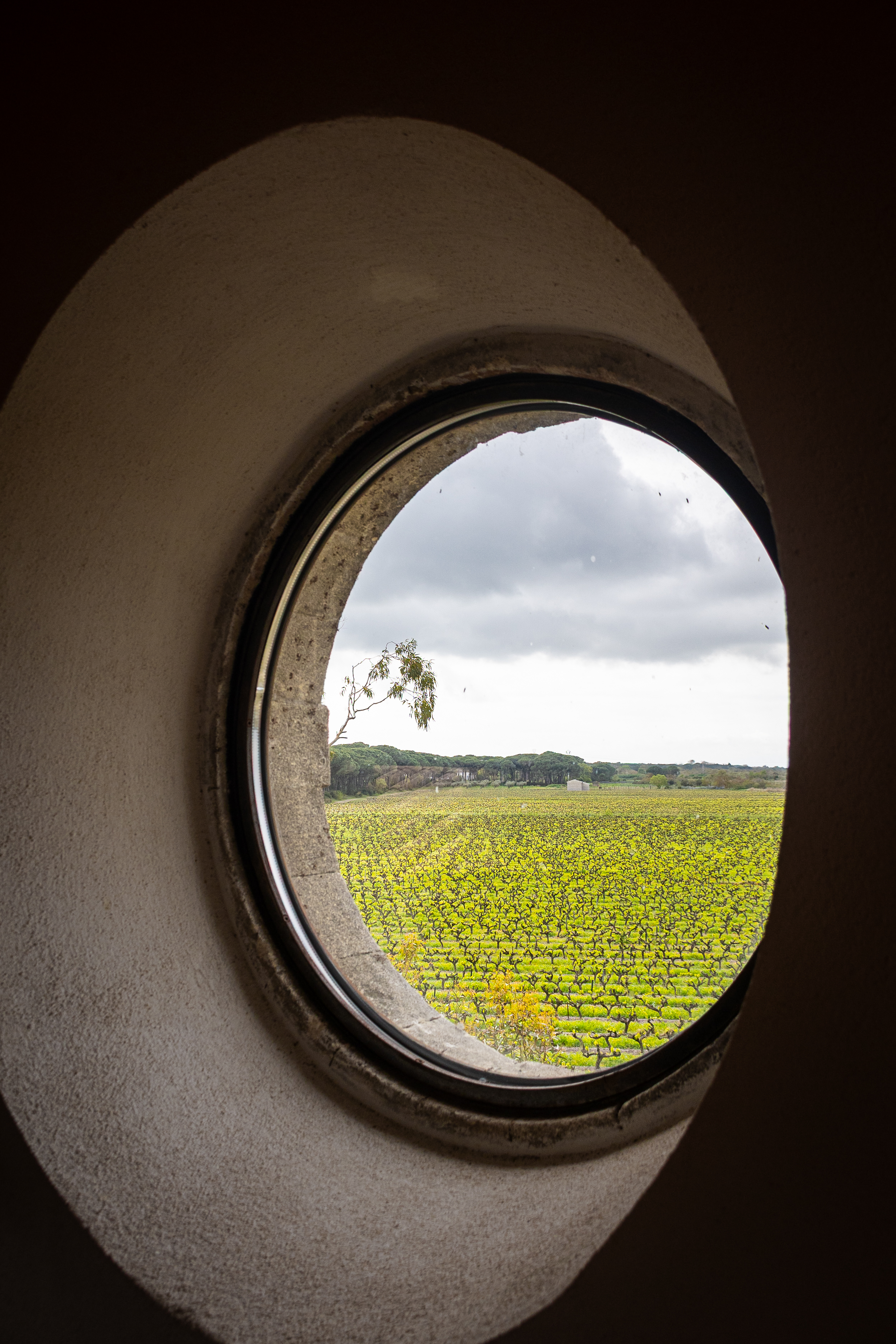 MIRAE Camargue — lumière, élégance et terroir