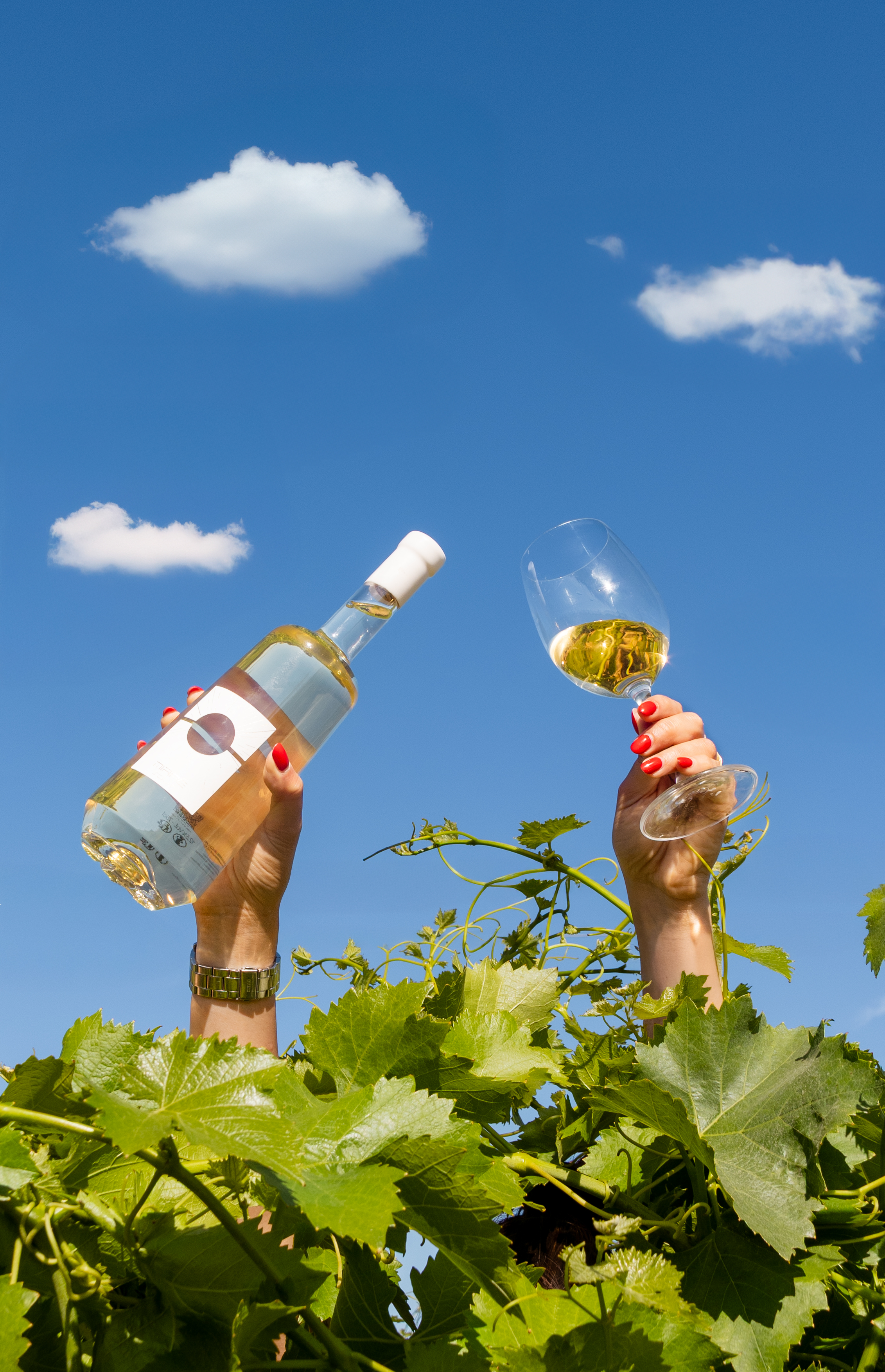 MIRAE Camargue - Solis Blanc 2025